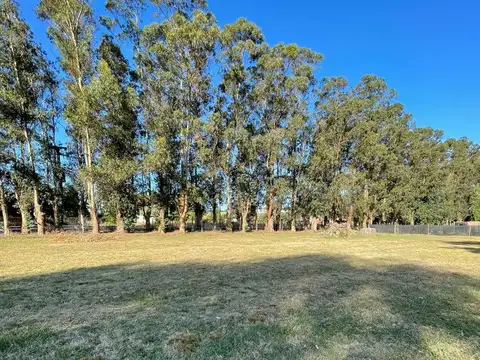 Terreno en Venta en Barrancas De San Benito, USD 45.000