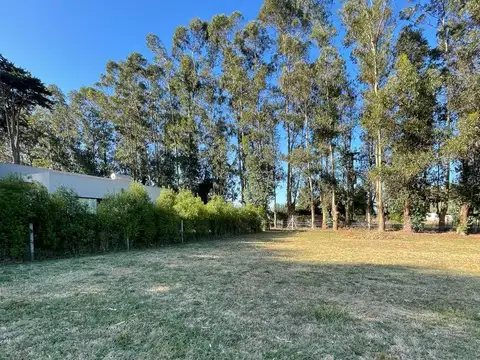 Terreno en venta - 813Mts2 - Chapadmalal