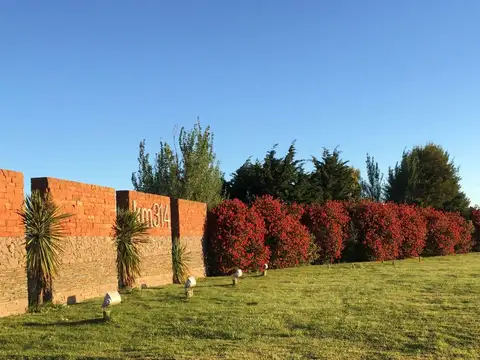 Ruta Interbalnearia 11