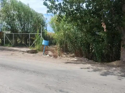 Nicolas Serpa 7000