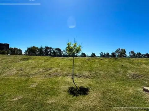 Terreno en Venta en Pueblos Del Plata - Elcano, USD 62.000