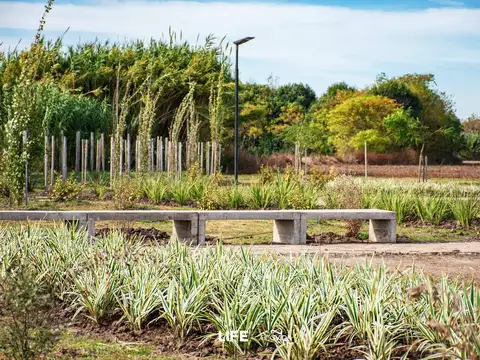 Terreno en Venta de 300,0 m2