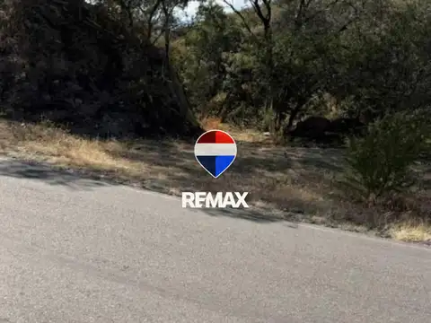 Finca El Retiro , Guanaquito 100