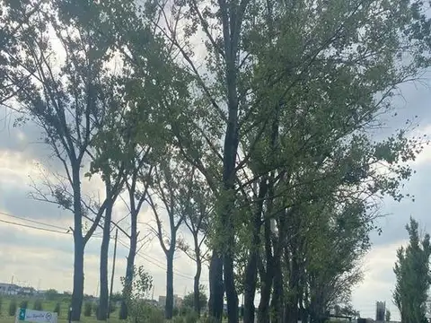 Terreno en