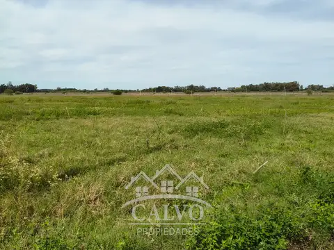 Terreno en Venta de 10000,0 m2