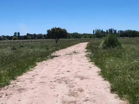 Terreno en venta - 23.636Mts2 - Estancia Benqueria, Monte