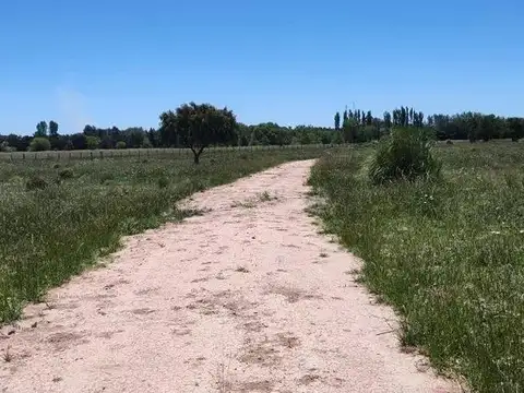 Terreno en venta - 23.636Mts2 - Estancia Benqueria, Monte