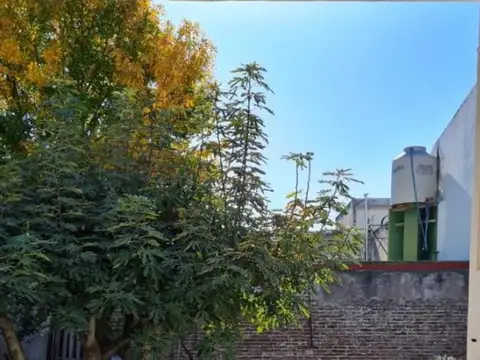 Ocampo 282