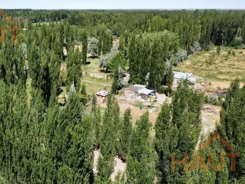 Chacra en  Sargento Vidal