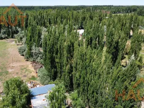 Chacra en  Sargento Vidal