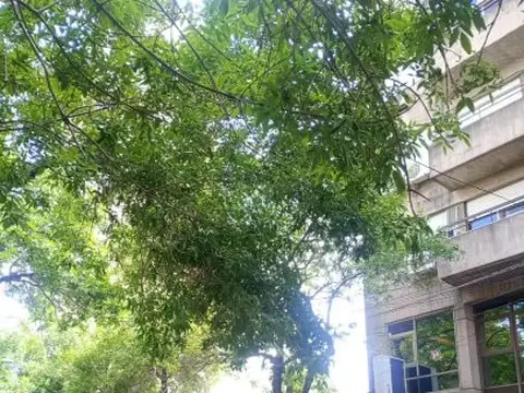Terreno en venta en Barrio Martin