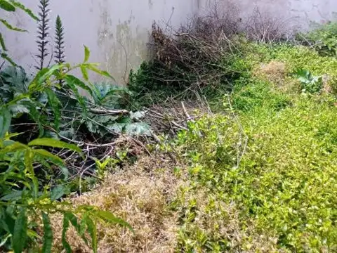 Terreno en Venta 8  mts Frente