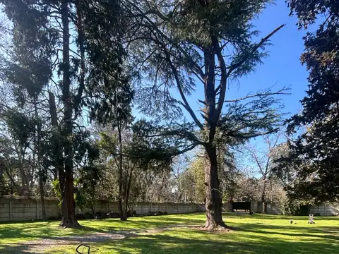 Terreno en Venta 37  mts Fondo