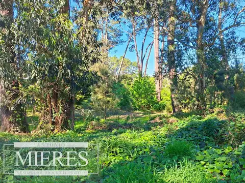Terreno en Venta de 4415,0 m2