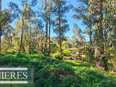 Venta de lote en Jardines De Córdoba - Punta del Este