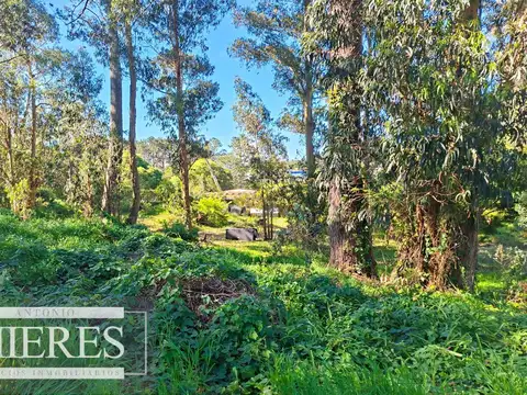 Terreno en Venta 84  mts Frente