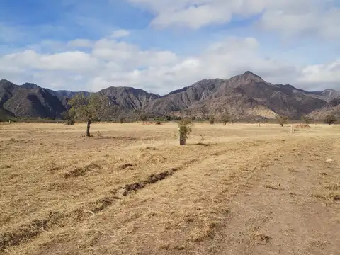 Terreno en Venta de 858,0 m2