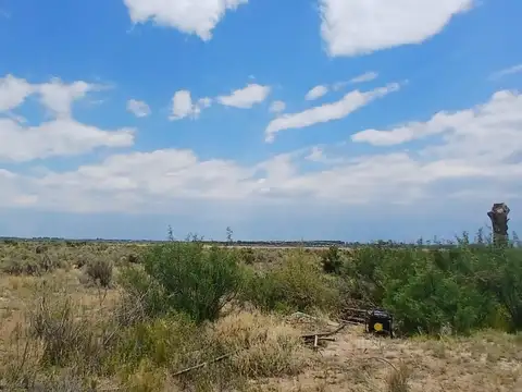 VENTA DE CAMPO