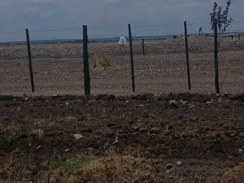 Rn 40 3200