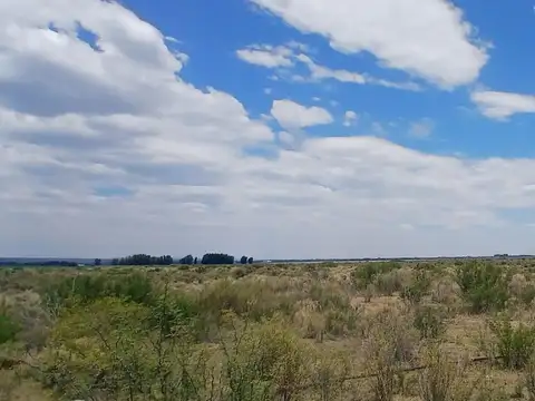 Rn 40 3200