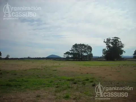 Laguna de Los Cisnes - Lote Venta 5430 m2