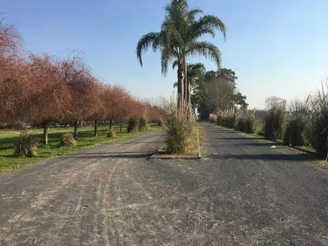 Gonzalo Tanoira General Rodriguez