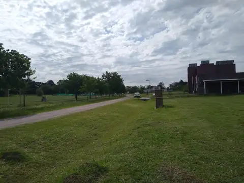 Terreno Las Calandrias