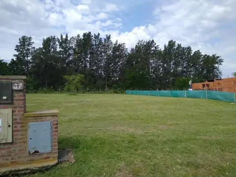 Terreno Las Calandrias