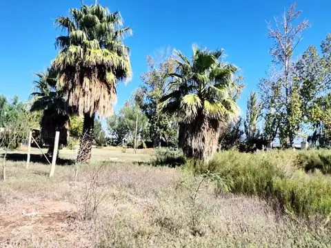 milagros 8100