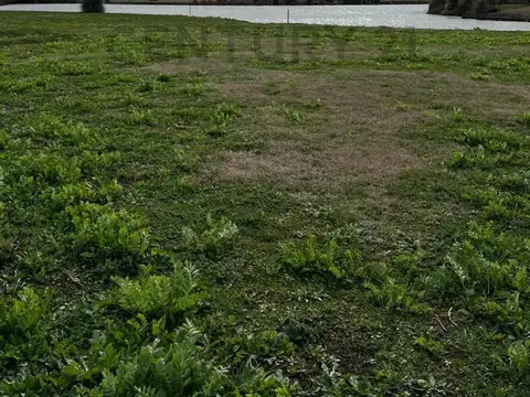 63 e/ Autopista Buenos Aires La Plata y Costanera del Rio de La Plata 7800, Piso 0