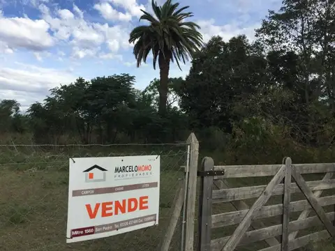 Quinta en Venta en Ingeniero Moneta, USD 35.000
