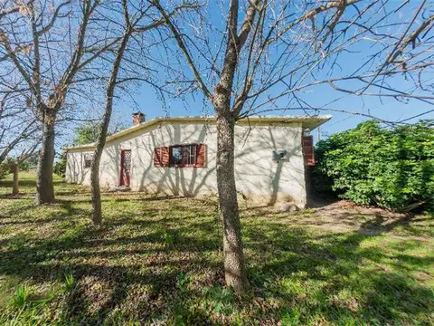 CASAS - CASA - CIUDAD DEL PLATA