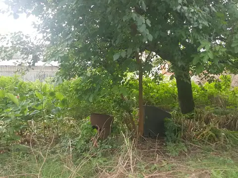 Terreno en Venta 37  mts Fondo