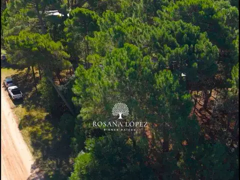 Terreno - Venta - Argentina, Pinamar