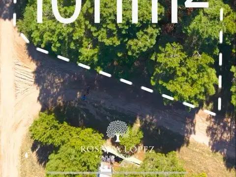Terreno - Venta - Argentina, Pinamar