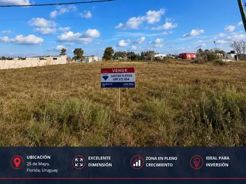 Excelente oportunidad de inversión en 25 de Mayo