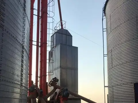 Fabrica expeler de aceite vegetal