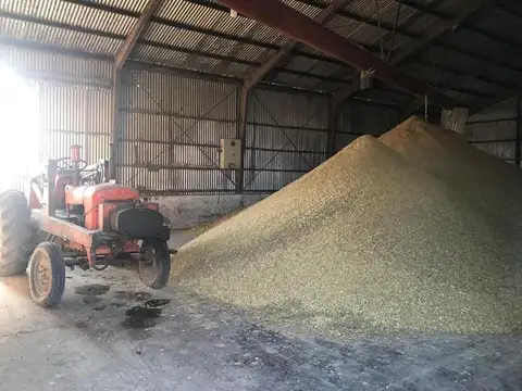 Fabrica expeler de aceite vegetal