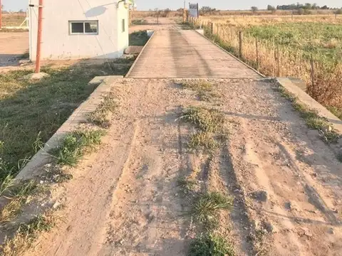 Fabrica expeler de aceite vegetal