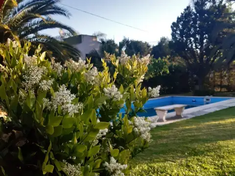 Sakura Jose Ingenieros 800