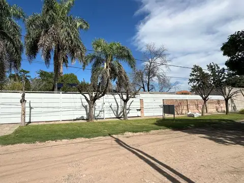 Benito Lynch al 4600