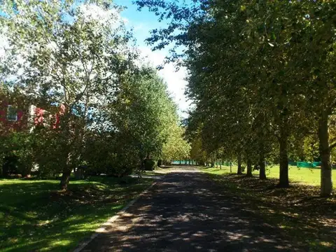 Terreno en Venta de 700,0 m2