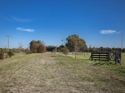 Chacra 1 Ha. - Las Juntas - San Antonio de Areco