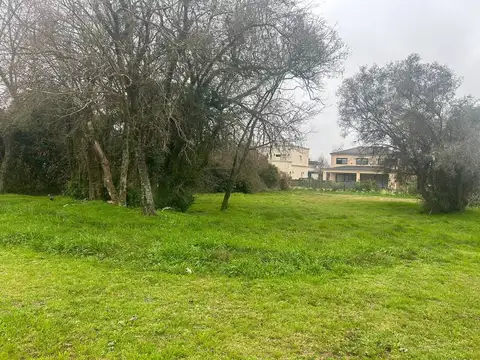 Terreno en Venta de 788,0 m2