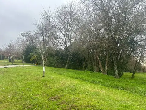 Terreno en Venta de 788,0 m2
