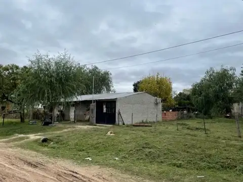 9 De Julio 50