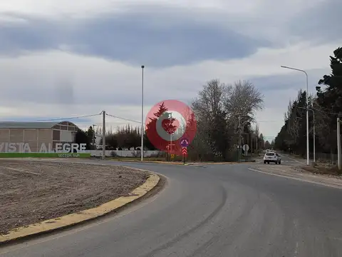 VENTA 5 Hectáreas con Chalet en Centenario