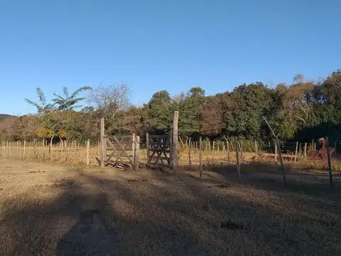 8 Has Ideal Desarrollo Urbano