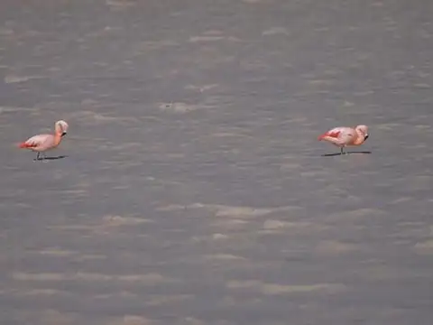 Av Lago posadas sn