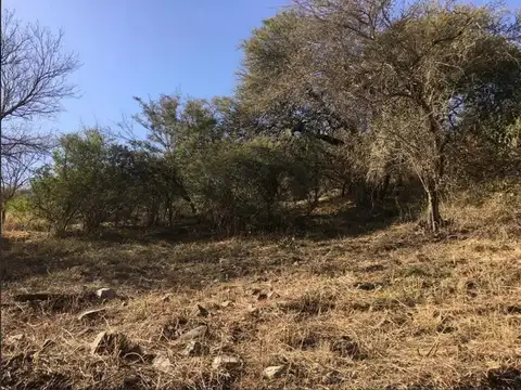 Terreno en Venta de 868,0 m2